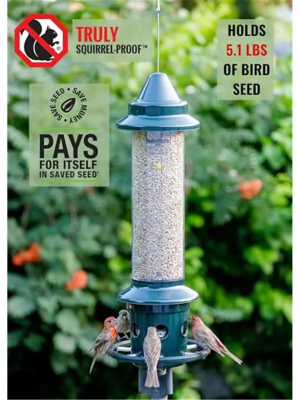 New Squirrel Buster Plus Squirrel-proof Bird Feeder w/Cardinal Ring and 6 Feedin